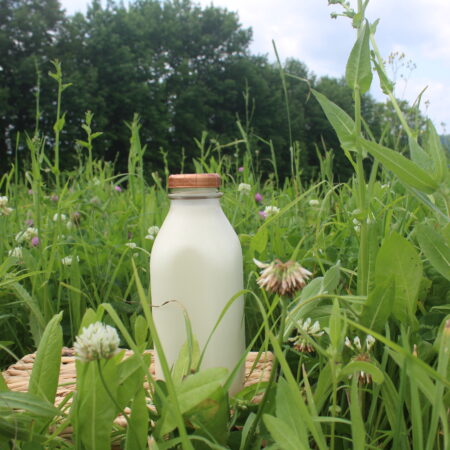 On Farm Raw Goats Milk